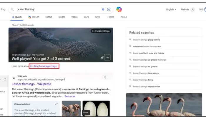 Learn more about Bing results